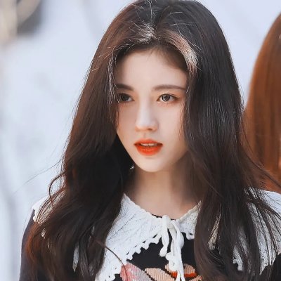 花儿与远方